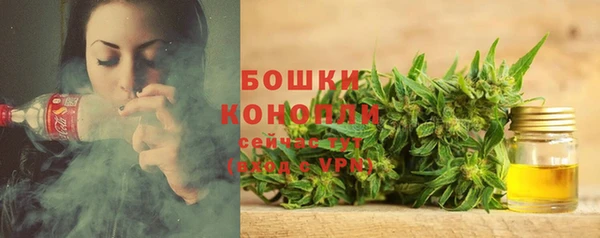 трава Переславль-Залесский