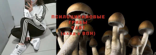 первитин Пестово