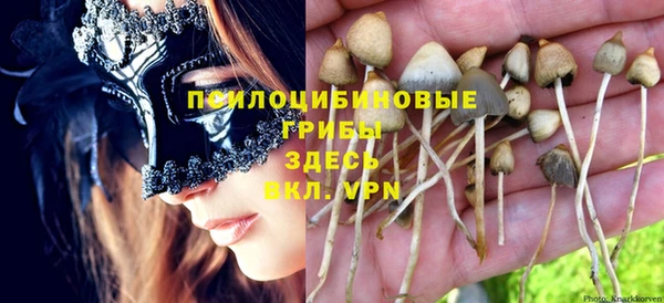 кокс Осинники