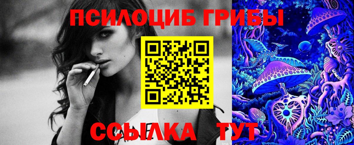 Сафоново  Псилоцибиновые грибы MAGIC MUSHROOMS  Вход с VPN  Псилоцибиновые грибы Cubensis 